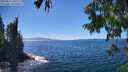 ./images/koeye/fitz-hugh/20250811/fitz-hugh20250811_150011M.jpg