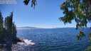 ./images/koeye/fitz-hugh/20250811/fitz-hugh20250811_150510M.jpg