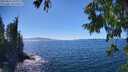 ./images/koeye/fitz-hugh/20250811/fitz-hugh20250811_151010M.jpg