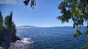 ./images/koeye/fitz-hugh/20250811/fitz-hugh20250811_151512M.jpg