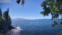 ./images/koeye/fitz-hugh/20250811/fitz-hugh20250811_152011M.jpg