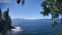 ./images/koeye/fitz-hugh/20250811/fitz-hugh20250811_152510M.jpg