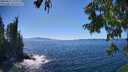 ./images/koeye/fitz-hugh/20250811/fitz-hugh20250811_153012M.jpg
