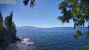 ./images/koeye/fitz-hugh/20250811/fitz-hugh20250811_153511M.jpg