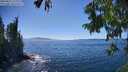 ./images/koeye/fitz-hugh/20250811/fitz-hugh20250811_154011M.jpg
