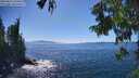 ./images/koeye/fitz-hugh/20250811/fitz-hugh20250811_154511M.jpg