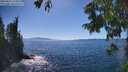 ./images/koeye/fitz-hugh/20250811/fitz-hugh20250811_155011M.jpg