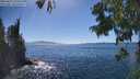 ./images/koeye/fitz-hugh/20250811/fitz-hugh20250811_155510M.jpg
