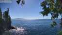 ./images/koeye/fitz-hugh/20250811/fitz-hugh20250811_160011M.jpg