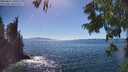 ./images/koeye/fitz-hugh/20250811/fitz-hugh20250811_160505M.jpg