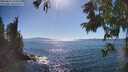 ./images/koeye/fitz-hugh/20250811/fitz-hugh20250811_163511M.jpg