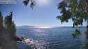 ./images/koeye/fitz-hugh/20250811/fitz-hugh20250811_164011M.jpg