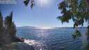 ./images/koeye/fitz-hugh/20250811/fitz-hugh20250811_164510M.jpg