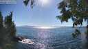 ./images/koeye/fitz-hugh/20250811/fitz-hugh20250811_165510M.jpg
