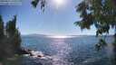 ./images/koeye/fitz-hugh/20250811/fitz-hugh20250811_170012M.jpg