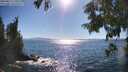 ./images/koeye/fitz-hugh/20250811/fitz-hugh20250811_170511M.jpg