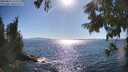 ./images/koeye/fitz-hugh/20250811/fitz-hugh20250811_171011M.jpg