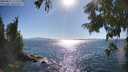 ./images/koeye/fitz-hugh/20250811/fitz-hugh20250811_171512M.jpg