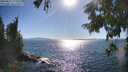 ./images/koeye/fitz-hugh/20250811/fitz-hugh20250811_172010M.jpg