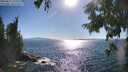 ./images/koeye/fitz-hugh/20250811/fitz-hugh20250811_172511M.jpg