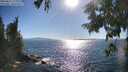 ./images/koeye/fitz-hugh/20250811/fitz-hugh20250811_173012M.jpg