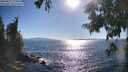 ./images/koeye/fitz-hugh/20250811/fitz-hugh20250811_173511M.jpg