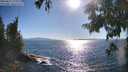 ./images/koeye/fitz-hugh/20250811/fitz-hugh20250811_174011M.jpg