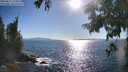./images/koeye/fitz-hugh/20250811/fitz-hugh20250811_174511M.jpg