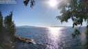 ./images/koeye/fitz-hugh/20250811/fitz-hugh20250811_175011M.jpg