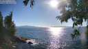 ./images/koeye/fitz-hugh/20250811/fitz-hugh20250811_175511M.jpg