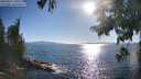 ./images/koeye/fitz-hugh/20250811/fitz-hugh20250811_180508M.jpg