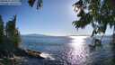 ./images/koeye/fitz-hugh/20250811/fitz-hugh20250811_182012M.jpg