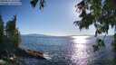 ./images/koeye/fitz-hugh/20250811/fitz-hugh20250811_182510M.jpg