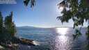 ./images/koeye/fitz-hugh/20250811/fitz-hugh20250811_183012M.jpg
