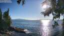 ./images/koeye/fitz-hugh/20250811/fitz-hugh20250811_183510M.jpg