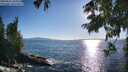 ./images/koeye/fitz-hugh/20250811/fitz-hugh20250811_184012M.jpg