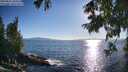 ./images/koeye/fitz-hugh/20250811/fitz-hugh20250811_184511M.jpg