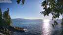 ./images/koeye/fitz-hugh/20250811/fitz-hugh20250811_185011M.jpg