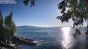./images/koeye/fitz-hugh/20250811/fitz-hugh20250811_190010M.jpg