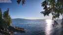 ./images/koeye/fitz-hugh/20250811/fitz-hugh20250811_191010M.jpg