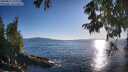 ./images/koeye/fitz-hugh/20250811/fitz-hugh20250811_191509M.jpg
