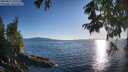 ./images/koeye/fitz-hugh/20250811/fitz-hugh20250811_192009M.jpg