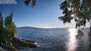 ./images/koeye/fitz-hugh/20250811/fitz-hugh20250811_192508M.jpg