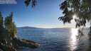 ./images/koeye/fitz-hugh/20250811/fitz-hugh20250811_193508M.jpg
