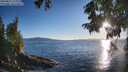 ./images/koeye/fitz-hugh/20250811/fitz-hugh20250811_194010M.jpg