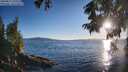 ./images/koeye/fitz-hugh/20250811/fitz-hugh20250811_194509M.jpg