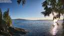 ./images/koeye/fitz-hugh/20250811/fitz-hugh20250811_200009M.jpg