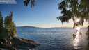 ./images/koeye/fitz-hugh/20250811/fitz-hugh20250811_200509M.jpg