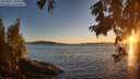 ./images/koeye/fitz-hugh/20250811/fitz-hugh20250811_204009M.jpg