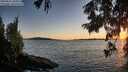 ./images/koeye/fitz-hugh/20250811/fitz-hugh20250811_205008M.jpg